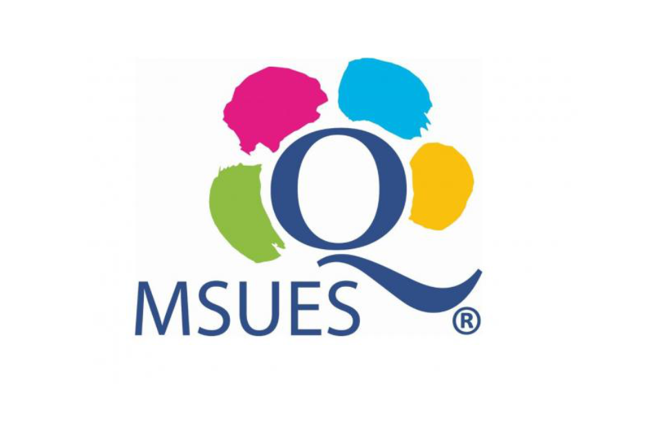 Logo MSUES (Małopolskich Standardów Usług Edukacyjno-Szkoleniowych) w dynamicznej kolorystyce, składające się z dużej, granatowej litery "Q" (symbolizującej Quality – Jakość), otoczonej czterema malarskimi plamami koloru: różowym, niebieskim, zielonym i żółtym. Poniżej symbolu znajduje się granatowy napis "MSUES" ze znaczkiem R zastrzeżony znak towarowy